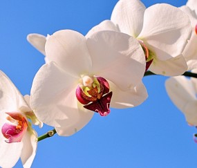 吴忠正规助孕捐卵机构，附正规捐卵机构报名表！